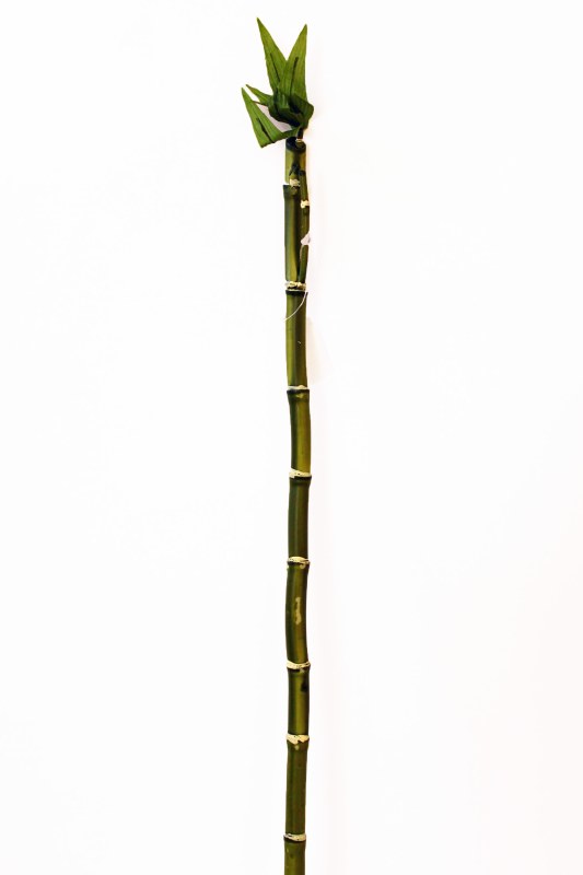 Picture of Single stem artificial Bamboo, height-70cm
